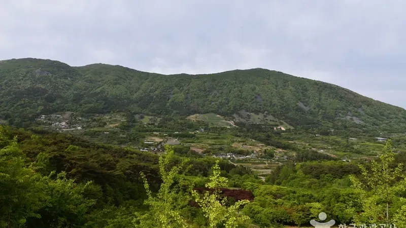 휴양림 산책로에서 조망하는 웅장한 안양산 능선과 무등산 자락