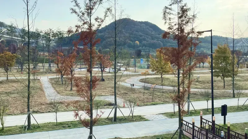 대형 패밀리 텐트 피칭이 가능한 광폭 목재 데크 사이트