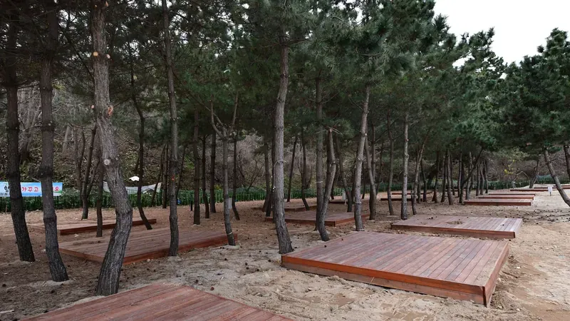 대형 텐트 피칭과 차량 직결 주차가 가능한 A구역 오토캠핑 데크 사이트