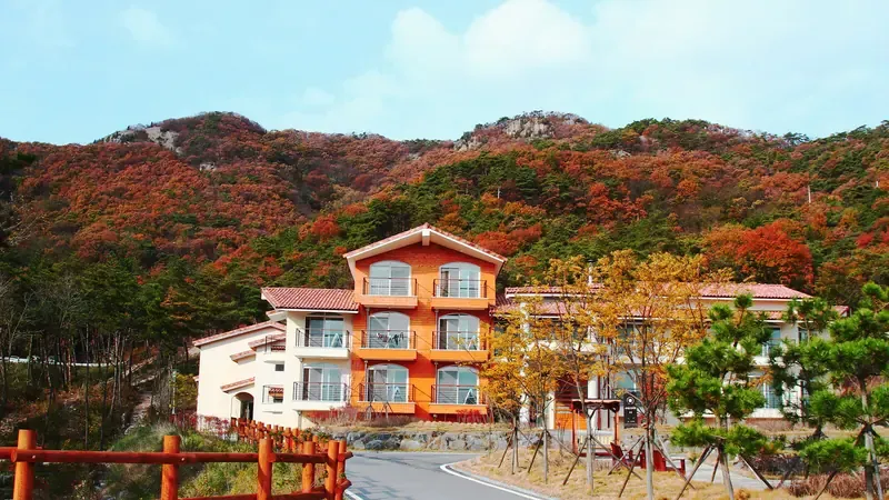 사계절 맑은 공기와 푸른 숲이 펼쳐지는 변산자연휴양림 산책길 풍경