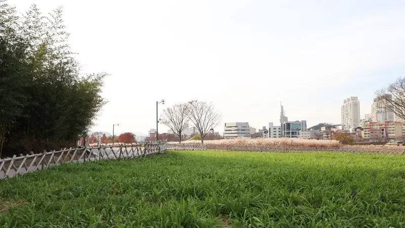 4km에 달하는 대나무 터널 피톤치드 산책로