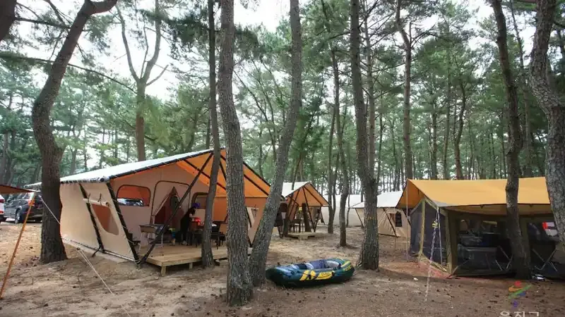 캠핑장에서 바로 연결되는 구산해수욕장의 맑은 동해 바다 뷰