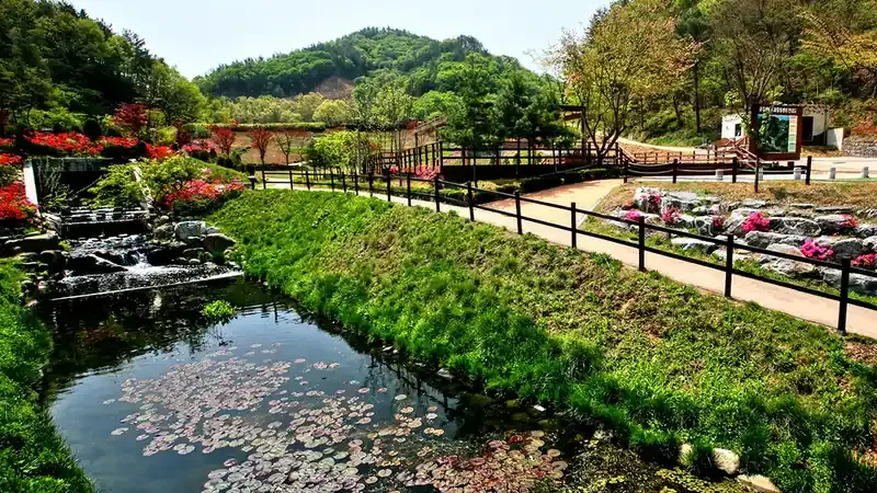 야생화와 수목을 관찰할 수 있는 주미산 자생식물원 숲체험원