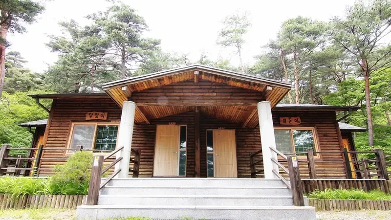 단층 온돌 보일러를 완비한 목조 독채 해돋이동 외관