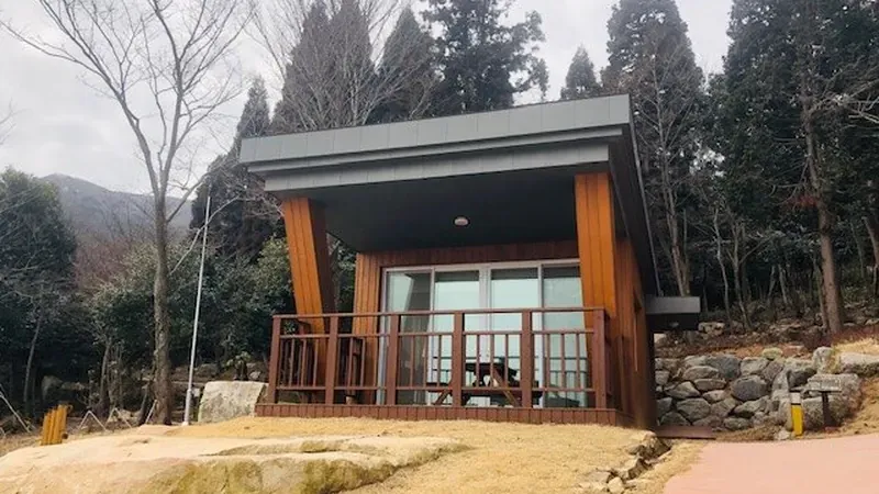 바다 전망 테라스를 완비한 숲속의 집 완도호랑가시나무방