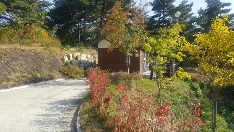 아이들이 좋아하는 다락방 구조와 단층 온돌 숲속의 집 다람쥐동