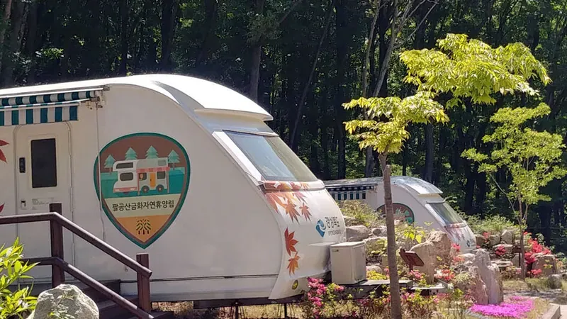 숲속야영장 최신형 카라반 야영 사이트 전경