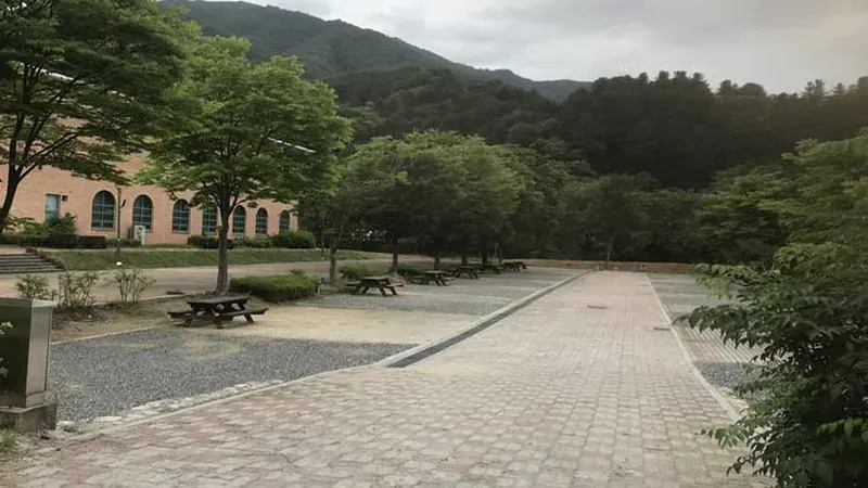 가족형 대형 카라반 사이트 및 전용 야외 피크닉 테이블