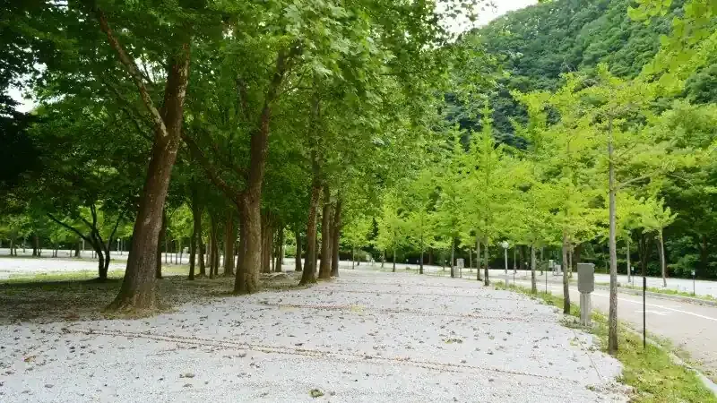 가족 안심 물놀이 천연 계곡