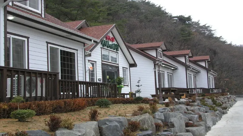 A구역 대형 규격 목재 캠핑 데크 사이트 및 전기 배전함