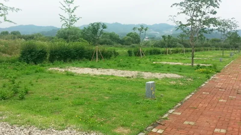 넓은 면적의 목재 야영 데크