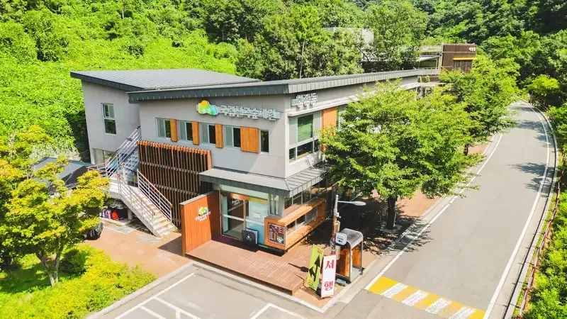 울창한 편백나무 사이로 곧게 뻗어 있는 친환경 목재 관찰로