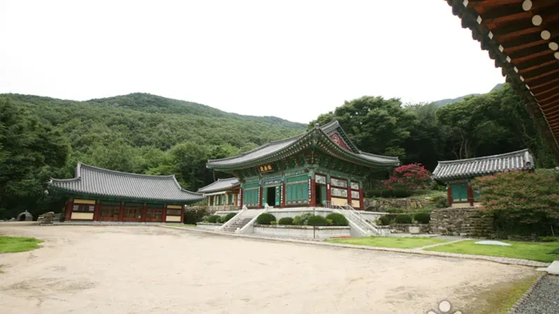 숲의 피톤치드를 느끼며 걷는 목재 데크 보행로