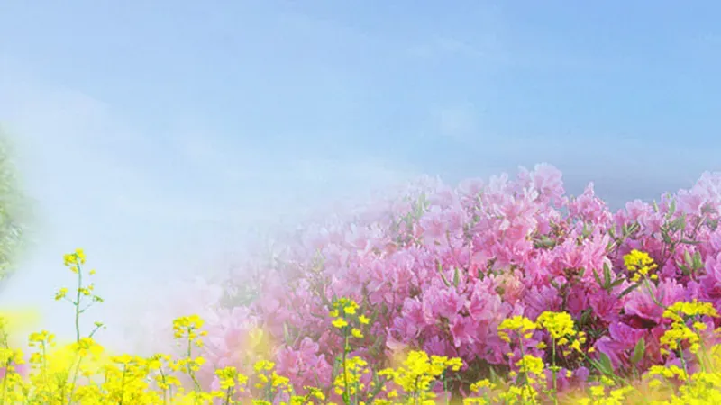 유모차와 어린이가 안전하게 걷는 무장애 데크로드