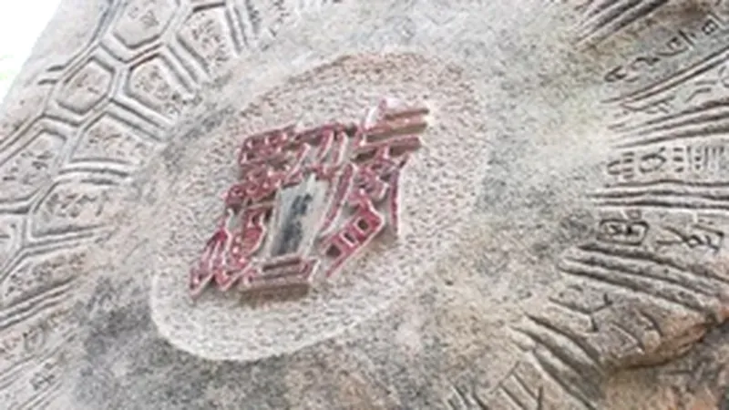 순한 꽃사슴에게 먹이를 주며 교감할 수 있는 어린이 사슴 생태체험목장