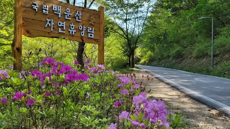 유모차와 휠체어가 편안히 걷는 데크 탐방로