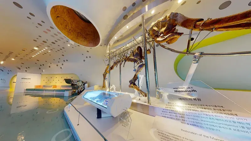 고고학체험실 어린이 모래 속 유물 발굴 체험장