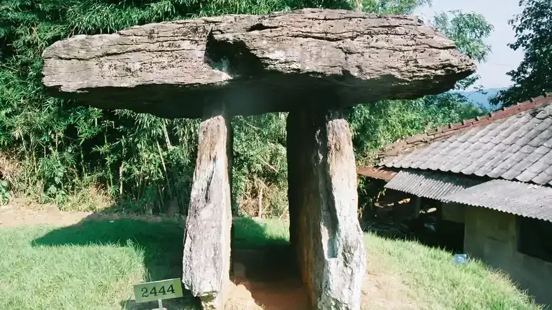 모로모로 탐방열차 코스 및 죽림리 고인돌 군락