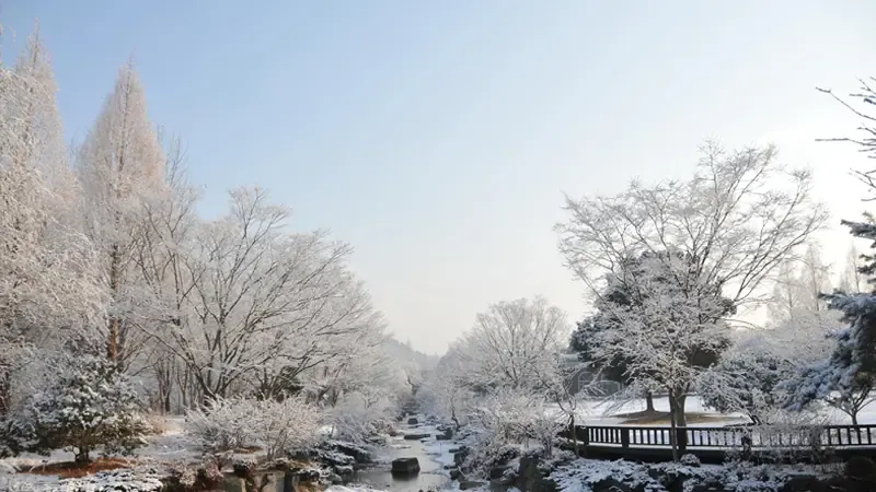 전문수목원 겨울 설경 및 산림박물관 산책 코스