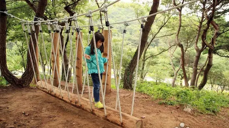 숲속 모험의 숲 어린이 친환경 목재 놀이터