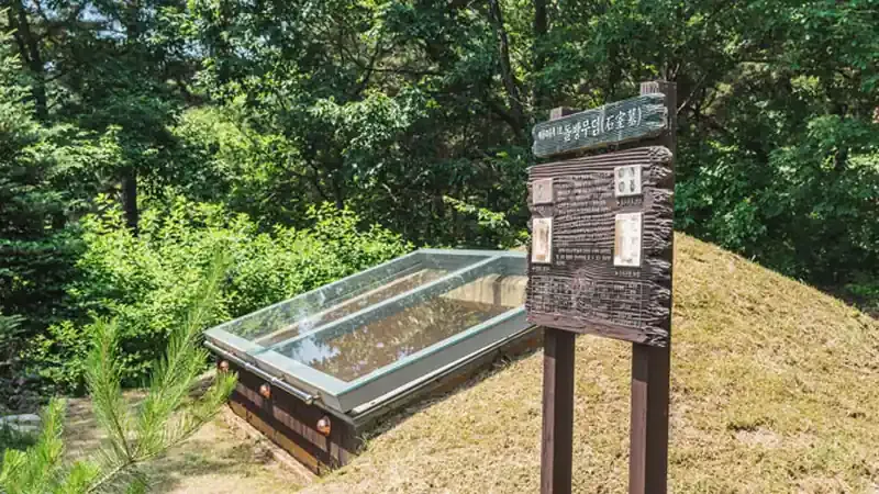 산림박물관 및 식물원 전시·체험실 실내공간