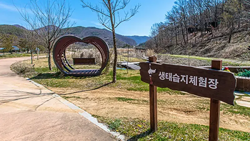 황새 생태 전시실 및 인터랙티브 3D 체험관