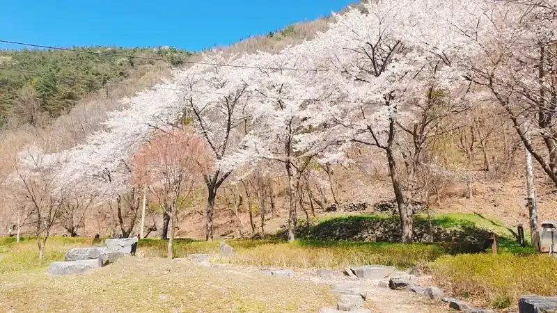 친환경 목재 단층 온돌 숲속의집 독채 시설