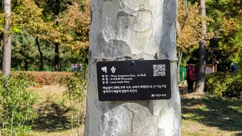 국내 최대 도심 인공수목원 열대 및 맹그로브원