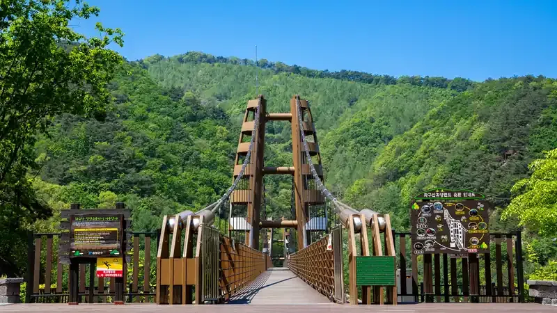 현대식 목조 온돌 독채 및 좌구산천문대 시설