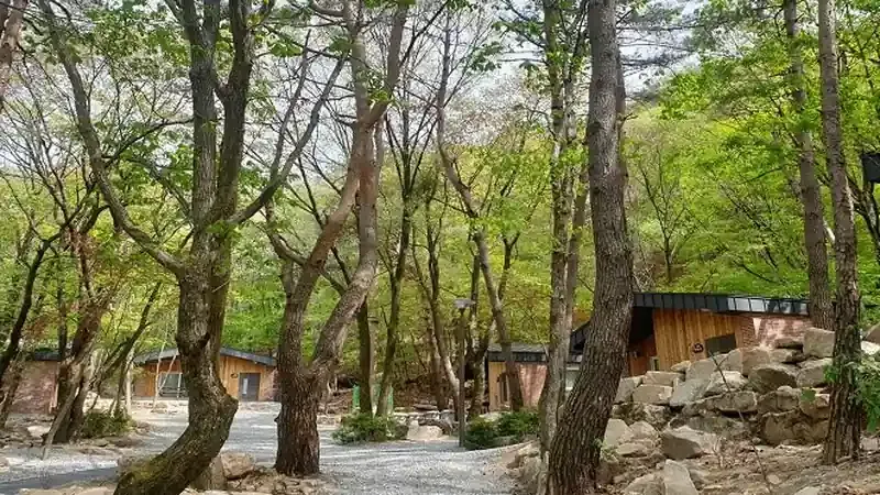 천연 목재 단층 온돌 숲속의집 독채 시설