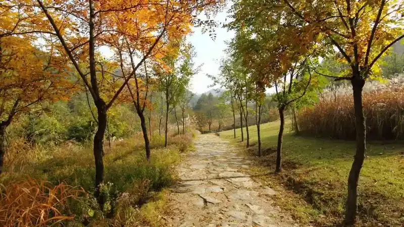 솔바람 갤러리 및 실내 식물 세밀화 기획전시관
