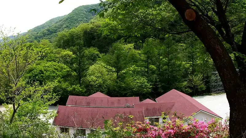 단층 온돌 숲속의집 및 목조 산림휴양관