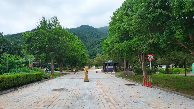 전기·수도 설비가 완비된 카라반 및 자동차야영 데크 영지