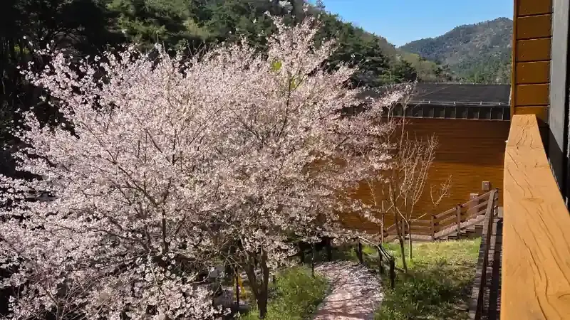 나주숲체원 숲다원 및 실내 산림교육동