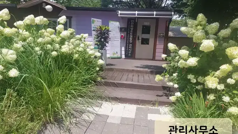 어린이 짚라인 어드벤처 및 자연 모험 놀이터