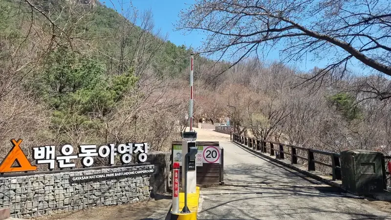 텐트 없이 자연을 즐기는 풀옵션 특화산막 및 목재 데크 영지