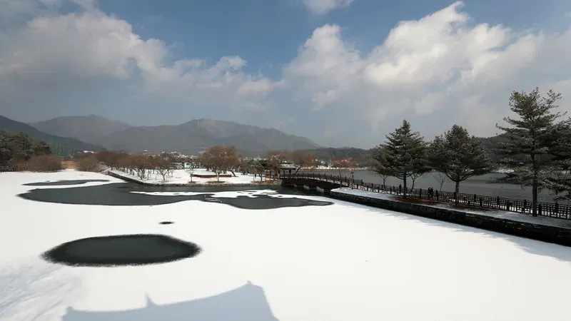 한방생명과학관 인체탐험 4D 및 한방 의학 인터랙티브 전시
