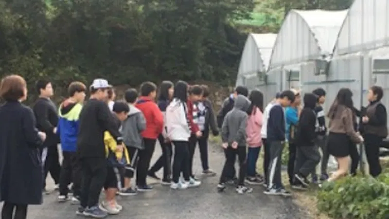 물고기와 채소를 동시 재배하는 친환경 아쿠아포닉스 순환 수조