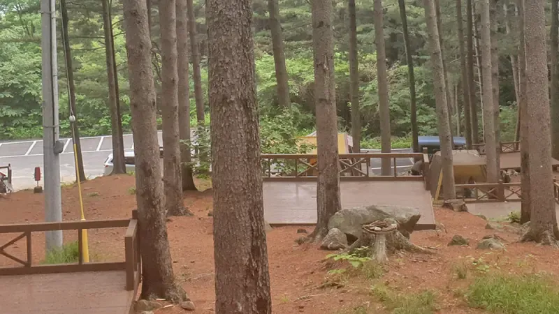 천연 목조 단층 온돌 숲속의집 독채 및 휴양관