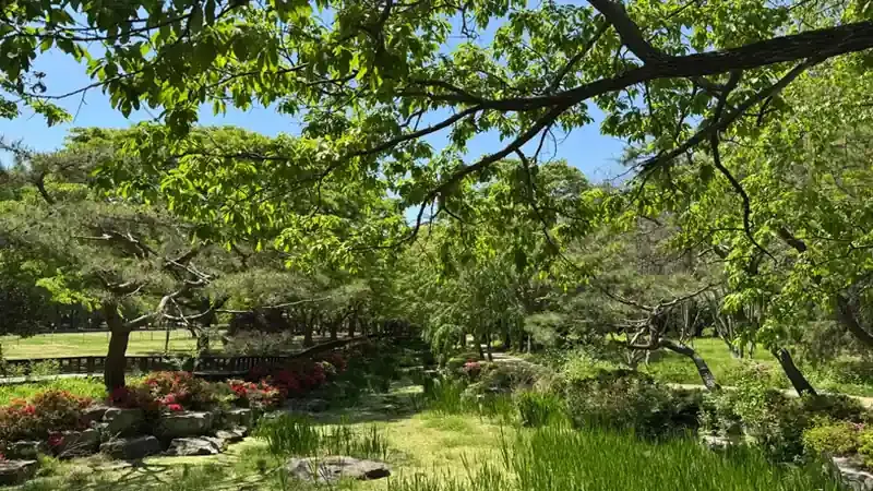 여름 테마식물원 및 열대온실 관람 구역