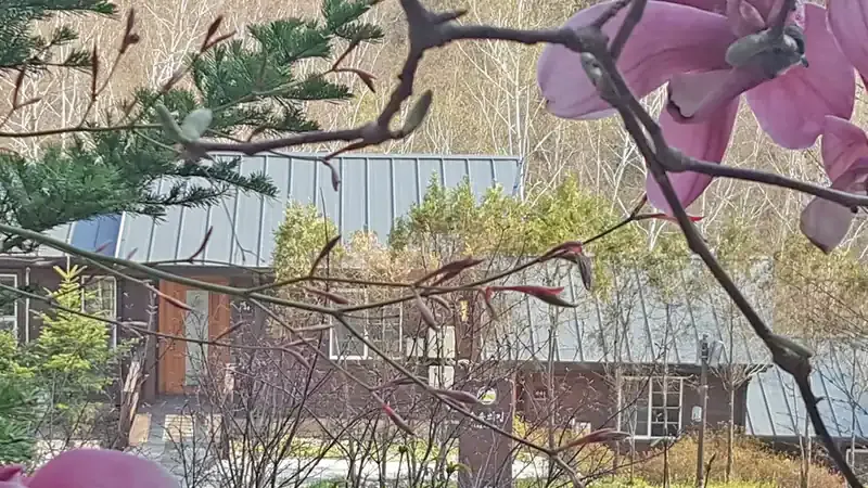 단층 온돌 목조 숲속의집 독채 및 발코니
