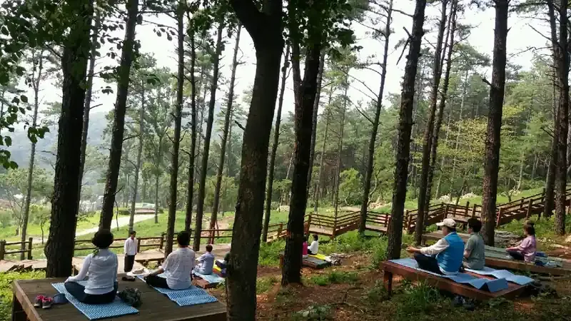 한국 전통 양식 율곡정원 및 사임당 치유의 숲