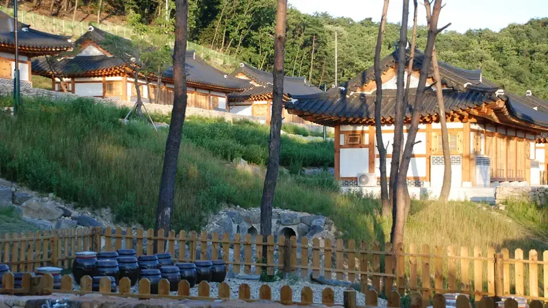 전통 한옥 양식 숲속의 집 독채 숙박시설