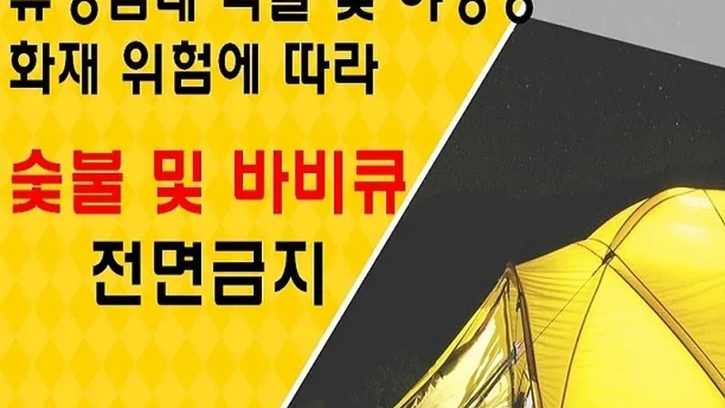 현대식 단층 복층 숲속의집 및 글램핑 시설