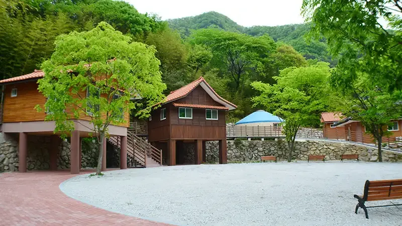 취사장, 샤워실 등 최신 편의시설