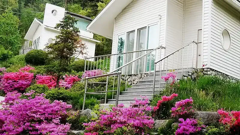 피톤치드 온돌 목조 숲속의집 및 세미나실