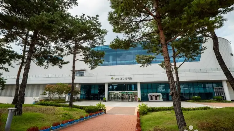 본관 1층 상설체험전시실 및 아이플레이 유아과학놀이터