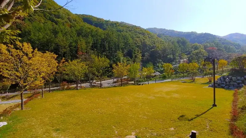 단층 온돌 숲속의집 및 오토캠핑 데크 사이트