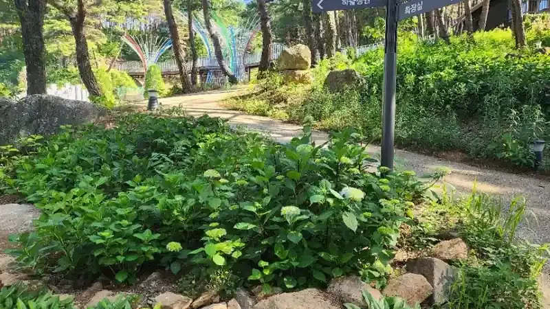 야생화 숲속 트리하우스 및 친환경 어린이 놀이시설