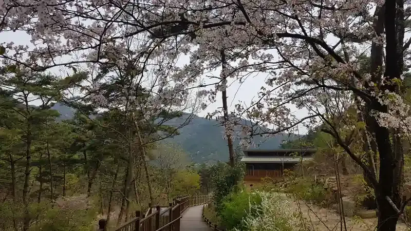 곡성치유의숲 숲속 힐링 족욕 및 쉼터 시설